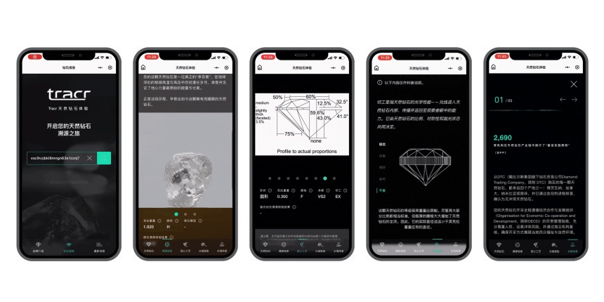 Case Study: Tracr WeChat Mini Program — Diamond Verification & Provenance in China